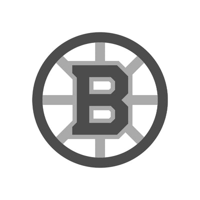 Boston Bruins