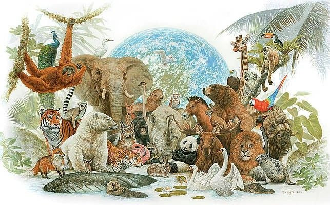 Illustration of various animals gathered around a globe with a tropical background