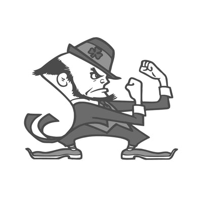 Notre DameFighting Irish