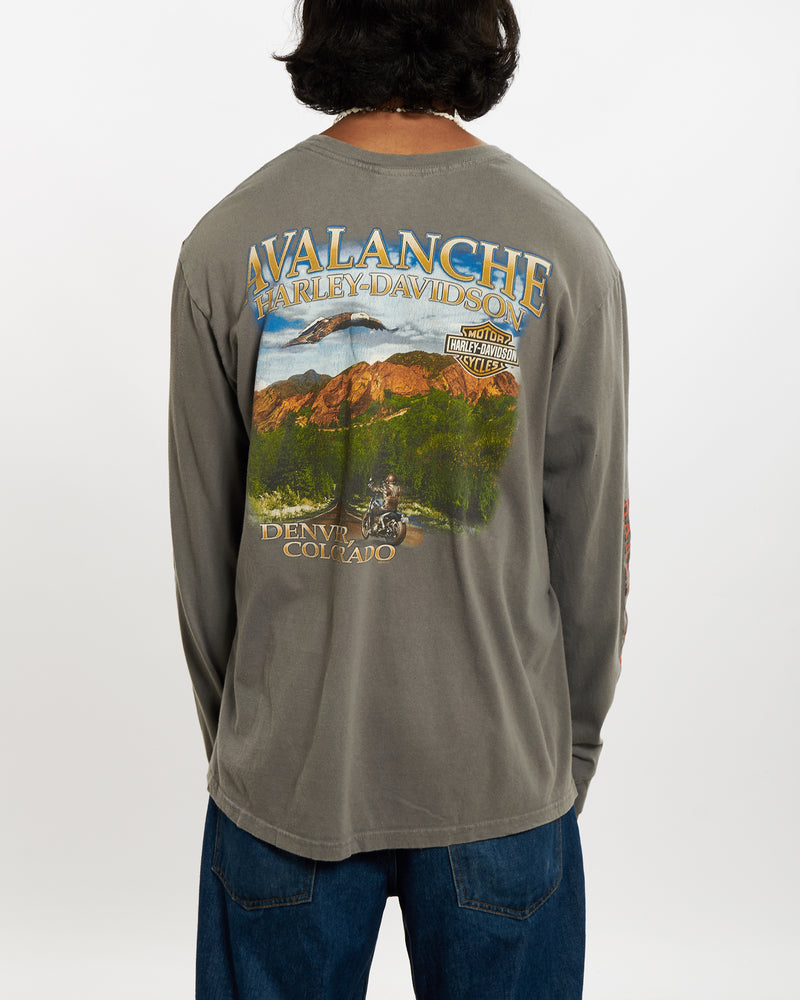 Vintage Harley Davidson Long Sleeve Tee <br>L , The Real Deal , newtown, sydney, australia, thrift store, opshop, preloved, secondhand, sustainable, retro, antique, 70s, 80s, 90s, 2000s, 00s, fashion, clothing, streetwear, trendy, garment, style, boutique, store, shop, archive, sale, cheap, best, top