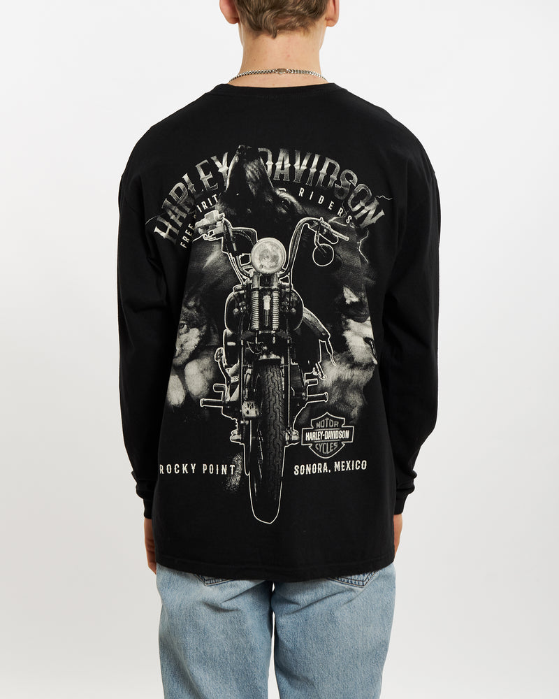 Vintage Harley Davidson Long Sleeve Tee <br>L , The Real Deal , newtown, sydney, australia, thrift store, opshop, preloved, secondhand, sustainable, retro, antique, 70s, 80s, 90s, 2000s, 00s, fashion, clothing, streetwear, trendy, garment, style, boutique, store, shop, archive, sale, cheap, best, top