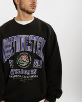 Vintage 1996 NCAA Northwestern University Wildcats Sweatshirt <br>L , The Real Deal , newtown, sydney, australia, thrift store, opshop, preloved, secondhand, sustainable, retro, antique, 70s, 80s, 90s, 2000s, 00s, fashion, clothing, streetwear, trendy, garment, style, boutique, store, shop, archive, sale, cheap, best, top