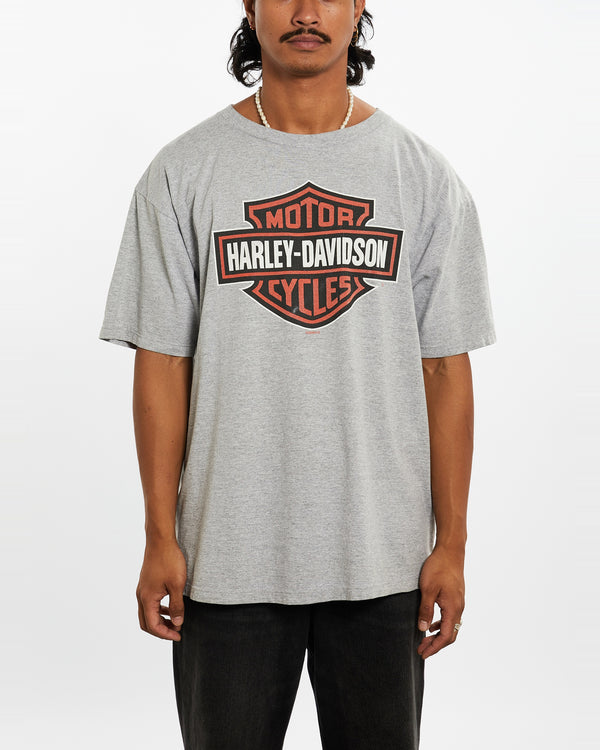 Vintage Harley Davidson Tee <br>L , The Real Deal , newtown, sydney, australia, thrift store, opshop, preloved, secondhand, sustainable, retro, antique, 70s, 80s, 90s, 2000s, 00s, fashion, clothing, streetwear, trendy, garment, style, boutique, store, shop, archive, sale, cheap, best, top