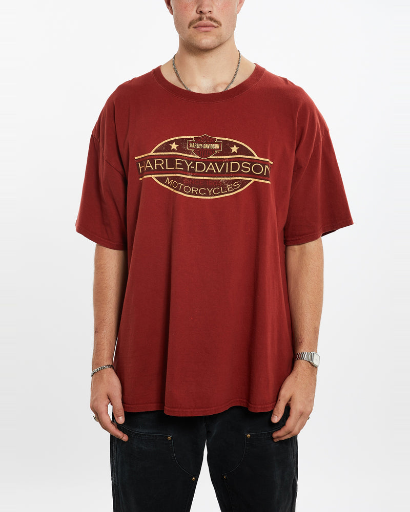 Vintage Harley Davidson Tee <br>XL , The Real Deal , newtown, sydney, australia, thrift store, opshop, preloved, secondhand, sustainable, retro, antique, 70s, 80s, 90s, 2000s, 00s, fashion, clothing, streetwear, trendy, garment, style, boutique, store, shop, archive, sale, cheap, best, top