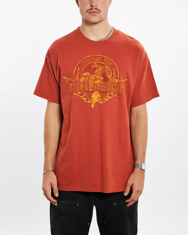 Vintage Harley Davidson x Looney Tunes Tee <br>XL , The Real Deal , newtown, sydney, australia, thrift store, opshop, preloved, secondhand, sustainable, retro, antique, 70s, 80s, 90s, 2000s, 00s, fashion, clothing, streetwear, trendy, garment, style, boutique, store, shop, archive, sale, cheap, best, top